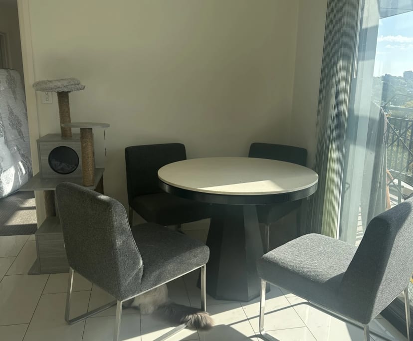 $300, Flatshare, 3 bathrooms, Newtown NSW 2043