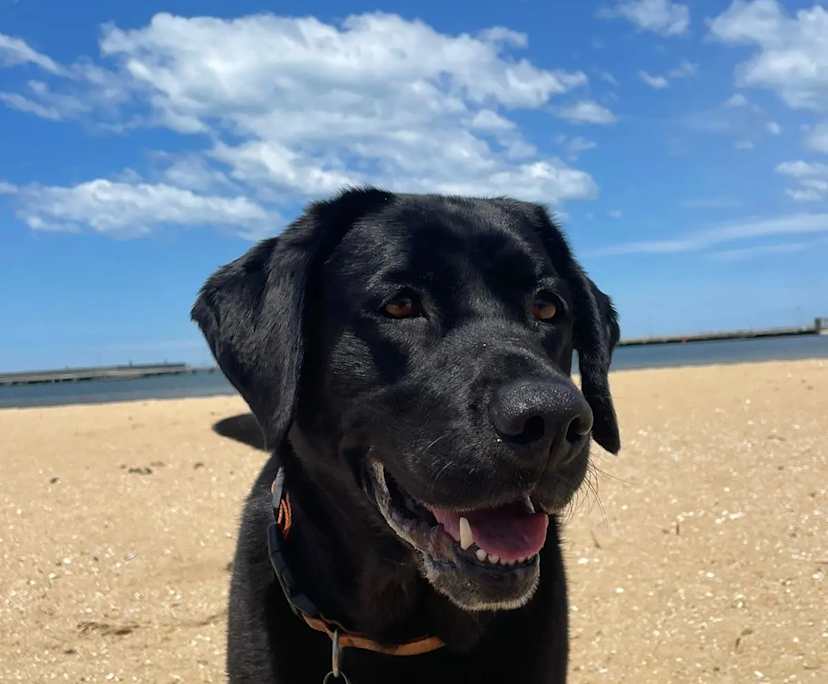 $400, Share-house, 2 bathrooms, Fitzroy North VIC 3068