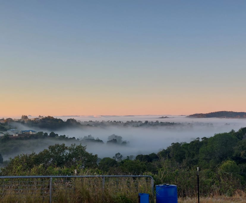 $320, Homestay, 2 bathrooms, Chatsworth QLD 4570