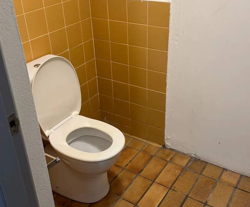 $380-390, Share-house, 2 rooms, Glebe NSW 2037, Glebe NSW 2037