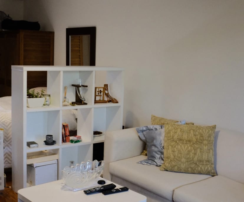 $600, Studio, 1 bathroom, O'Connor ACT 2602