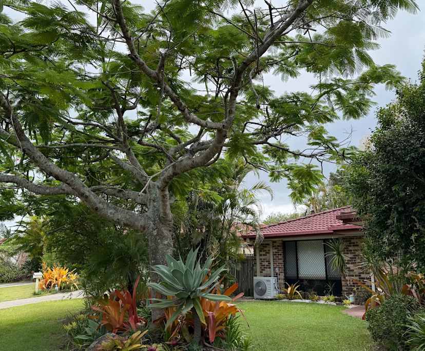 $350, Share-house, 3 bathrooms, Springfield QLD 4300