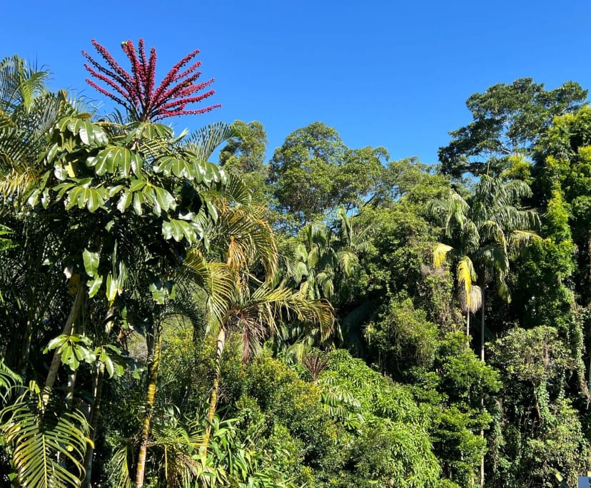 $400, Share-house, 4 bathrooms, Buderim QLD 4556