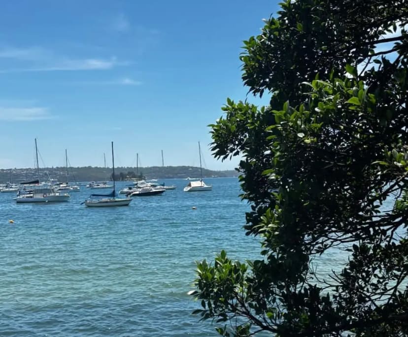 $450, Flatshare, 2 bathrooms, Rose Bay NSW 2029