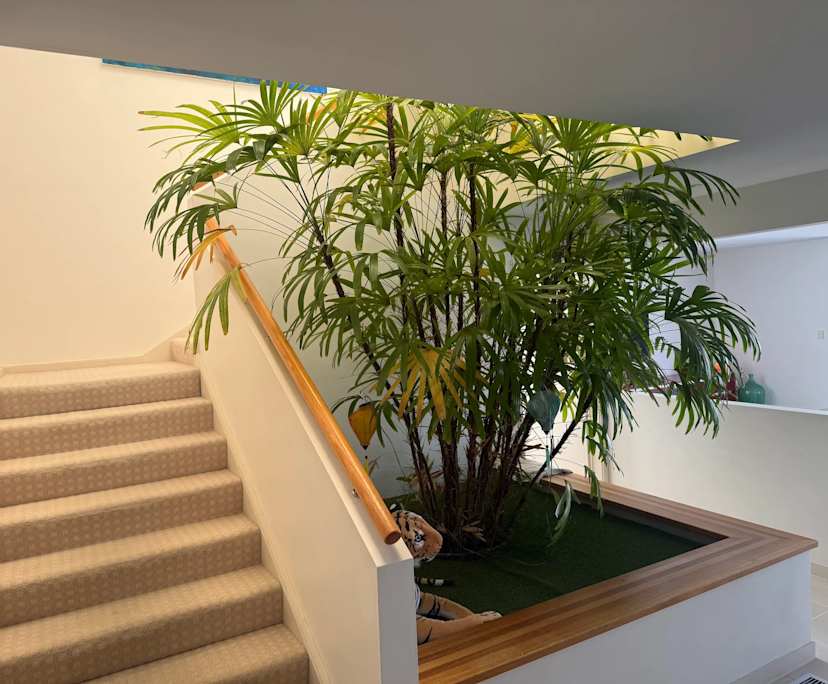 $520-570, Share-house, 2 rooms, Collaroy NSW 2097, Collaroy NSW 2097