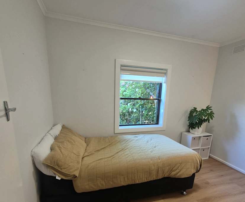 Room in a share house