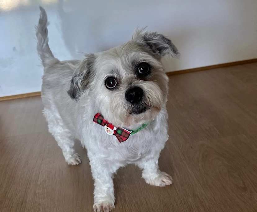 $300, Share-house, 3 bathrooms, Rostrevor SA 5073