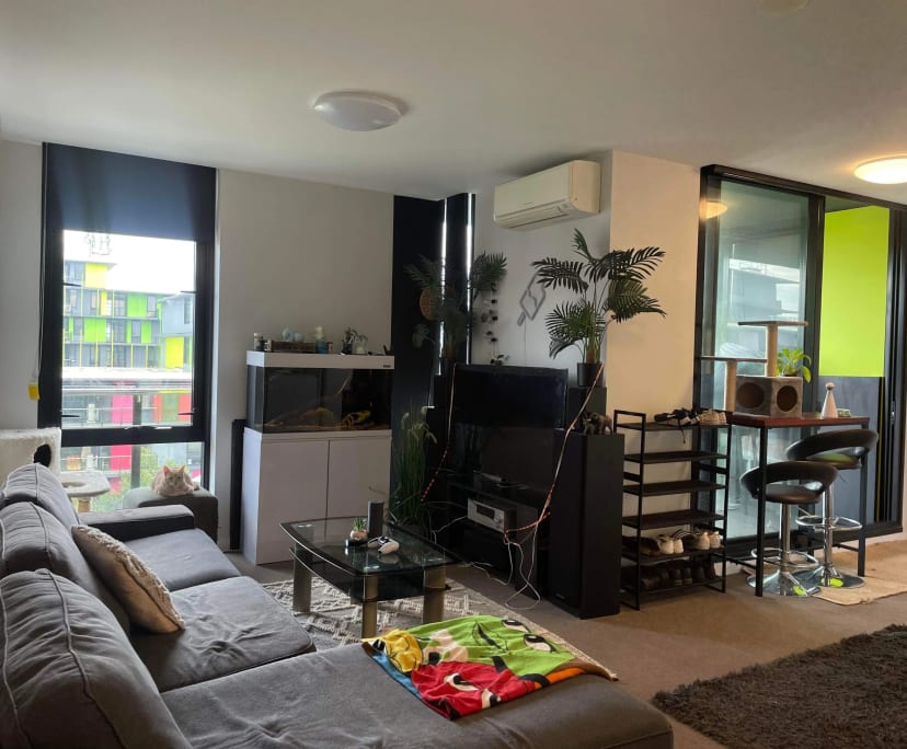 Whole Property for Rent in Southport, Gold Coast ...