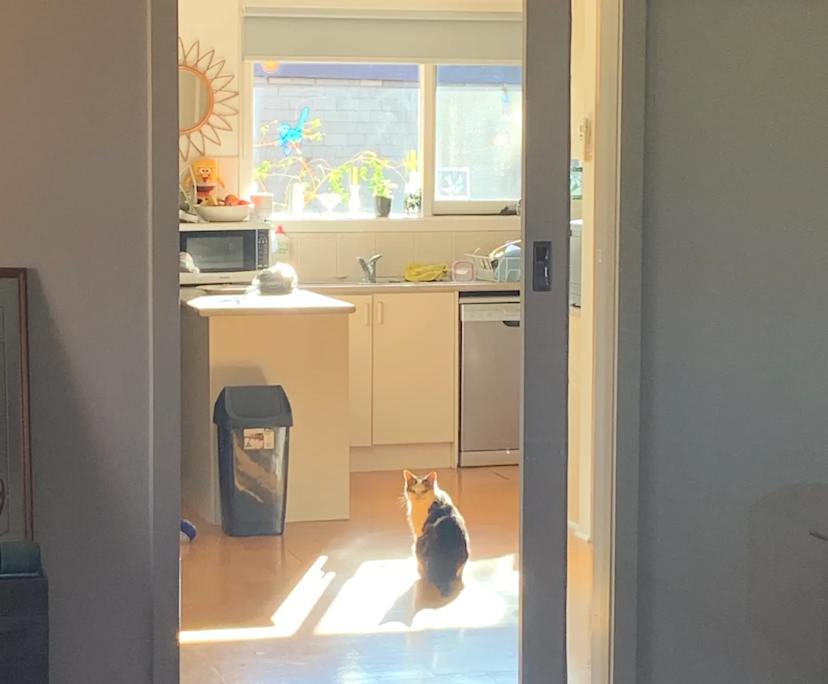 $187, Share-house, 2 rooms, Viewbank VIC 3084, Viewbank VIC 3084