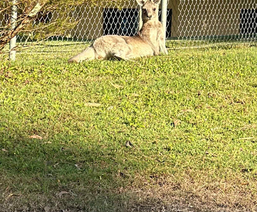 $600, Granny-flat, 2 bathrooms, Worongary QLD 4213