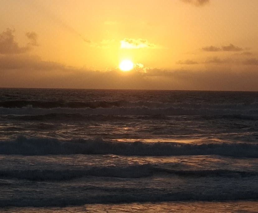 $315, Flatshare, 2 bathrooms, Sunrise Beach QLD 4567