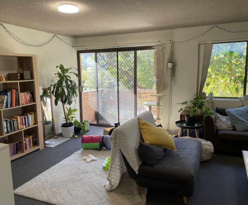 Room in a flatshare