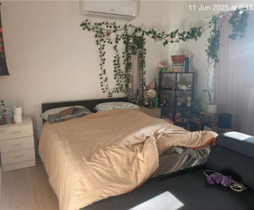 Room in a share house