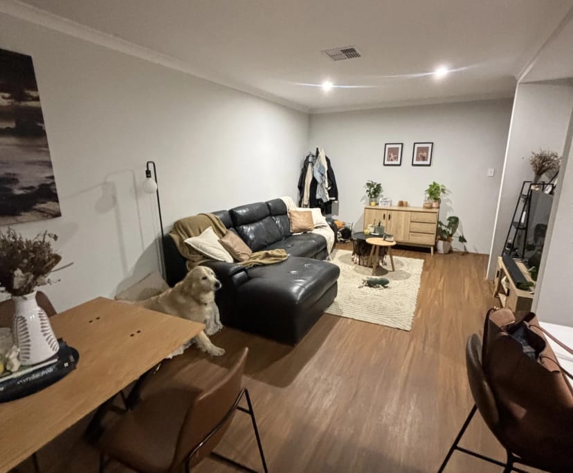 Room in a share house