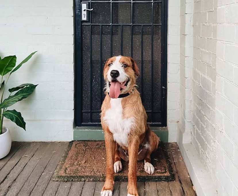 $390, Share-house, 3 bathrooms, Kiama NSW 2533