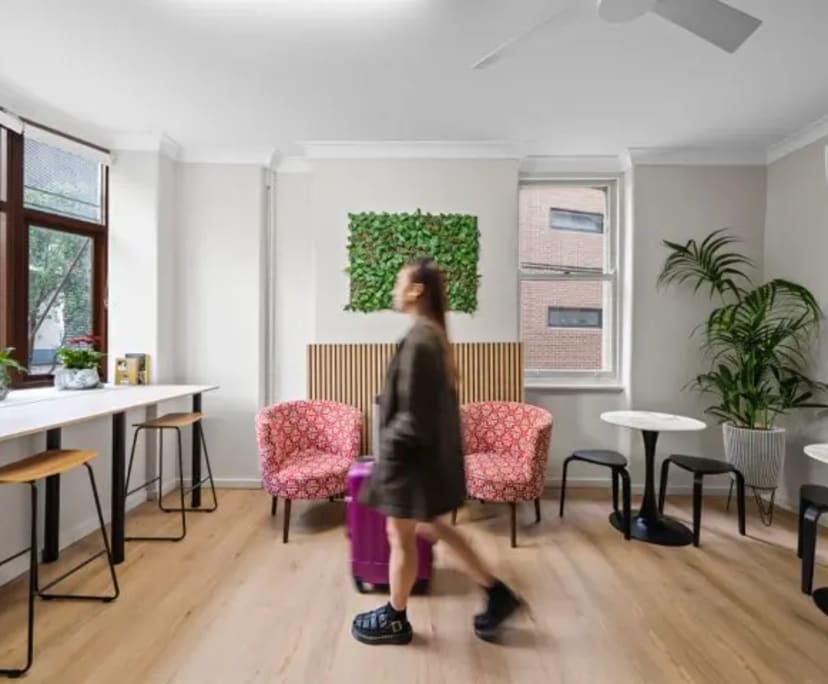 $350, Share-house, 6 bathrooms, Chippendale NSW 2008