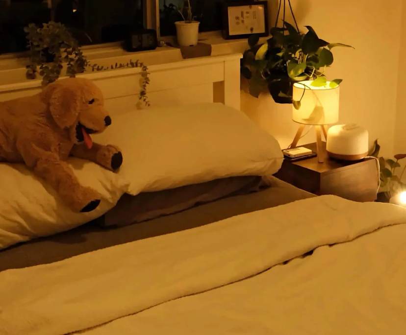 Whole property with 2 rooms for rent