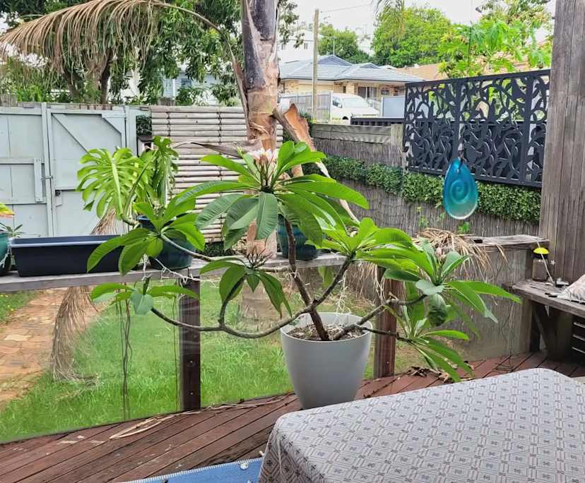 Unfurnished room in a share house