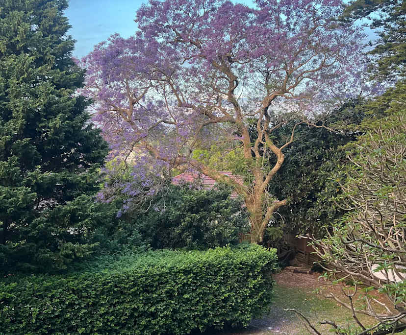 Unfurnished room in a flatshare