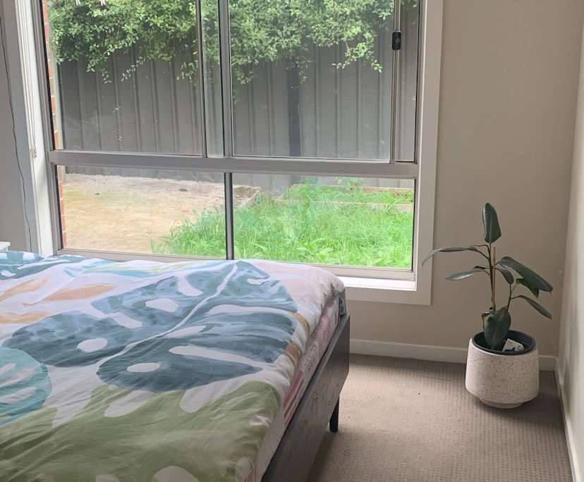 Room in a share house
