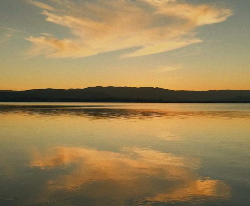 $200, Share-house, 3 bathrooms, Barrack Heights NSW 2528