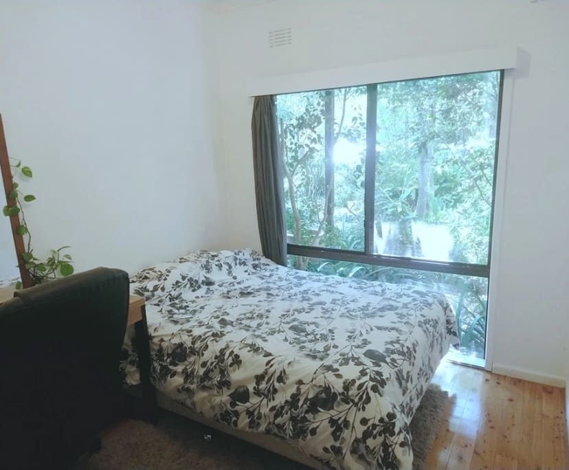 Room in a share house