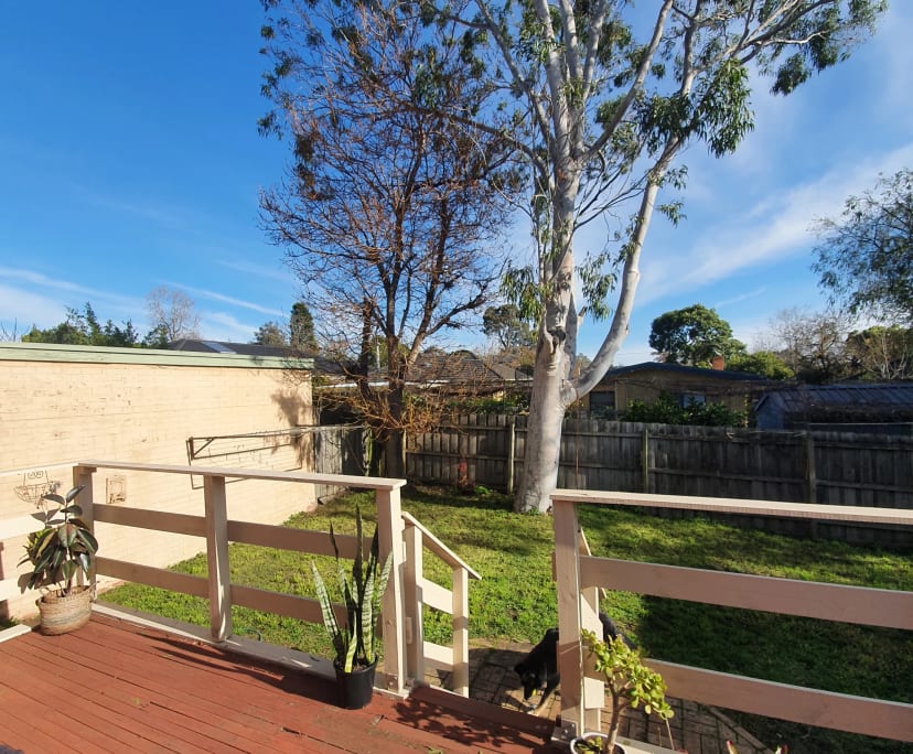$240, Share-house, 3 bathrooms, Forest Hill VIC 3131