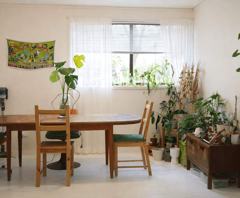 $250, Share-house, 3 bathrooms, O'Connor ACT 2602