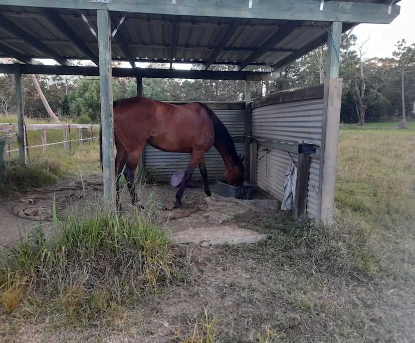 $240, Share-house, 4 bathrooms, Wallarah NSW 2259