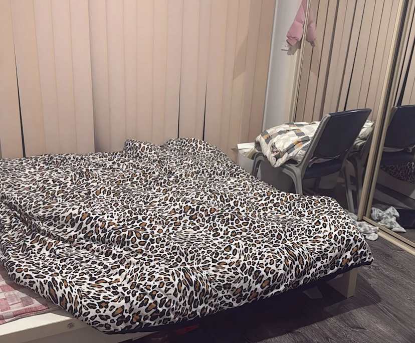 Room in a share house