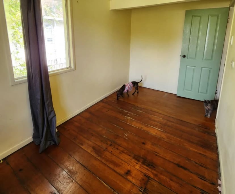 Room in a share house