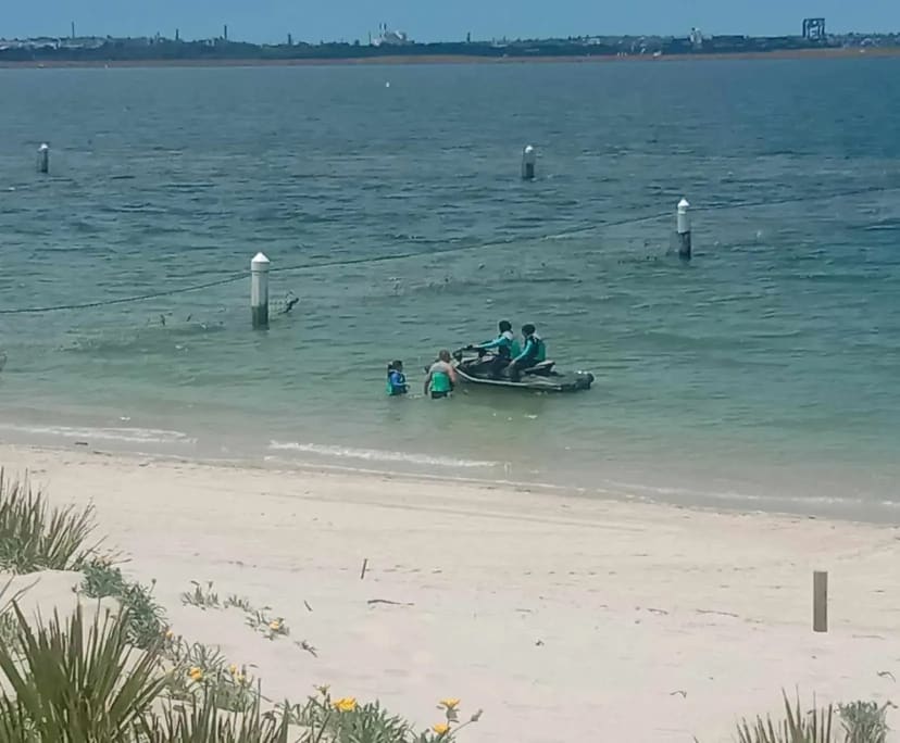 $375, Flatshare, 2 bathrooms, Monterey NSW 2217