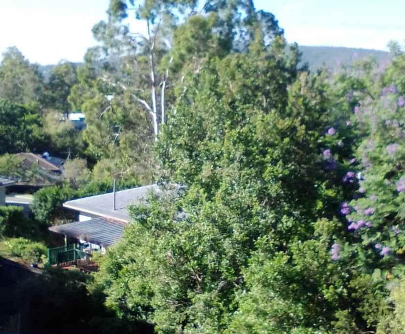 $300, Share-house, 3 bathrooms, Everton Hills QLD 4053