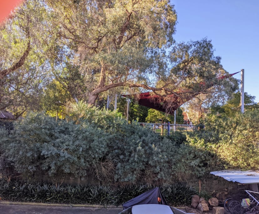 $350, Flatshare, 2 bathrooms, Enmore NSW 2042