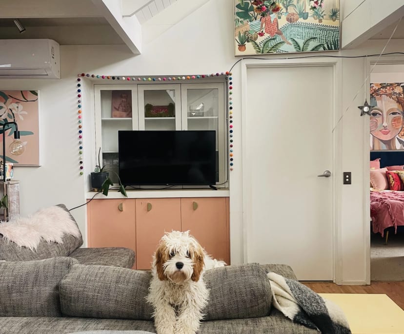 $250, Share-house, 2 rooms, Mornington VIC 3931, Mornington VIC 3931