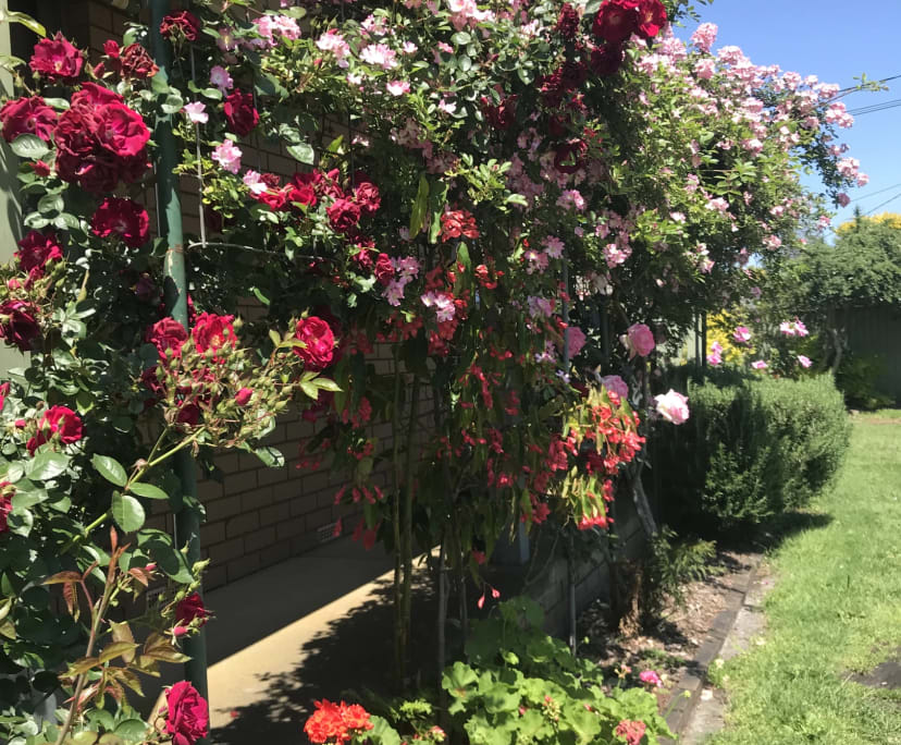 $210, Share-house, 4 bathrooms, Springvale South VIC 3172