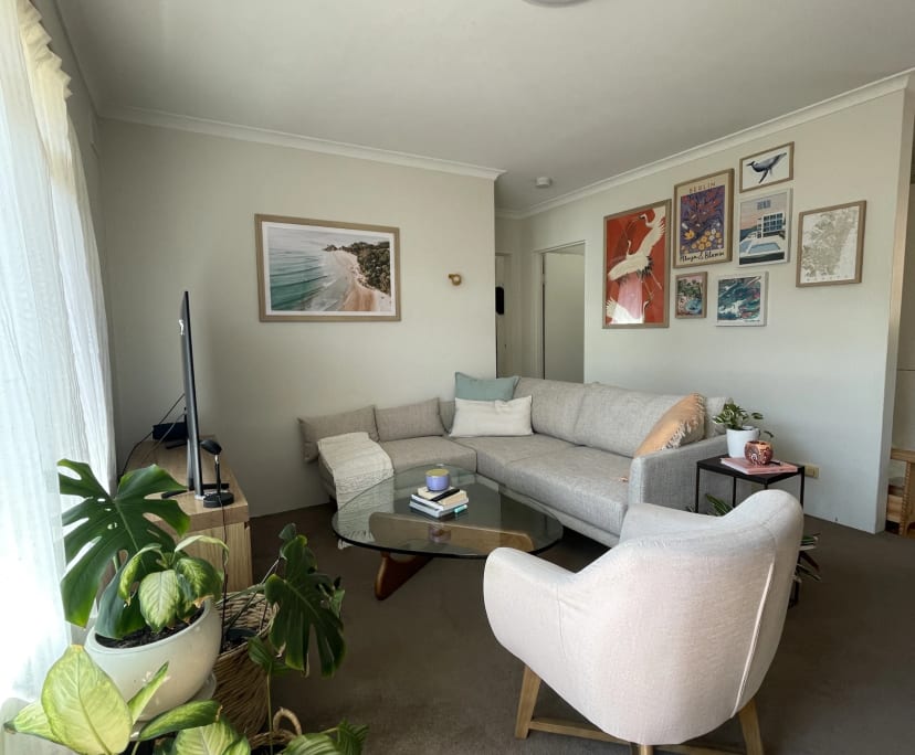 Whole property with 2 rooms for rent