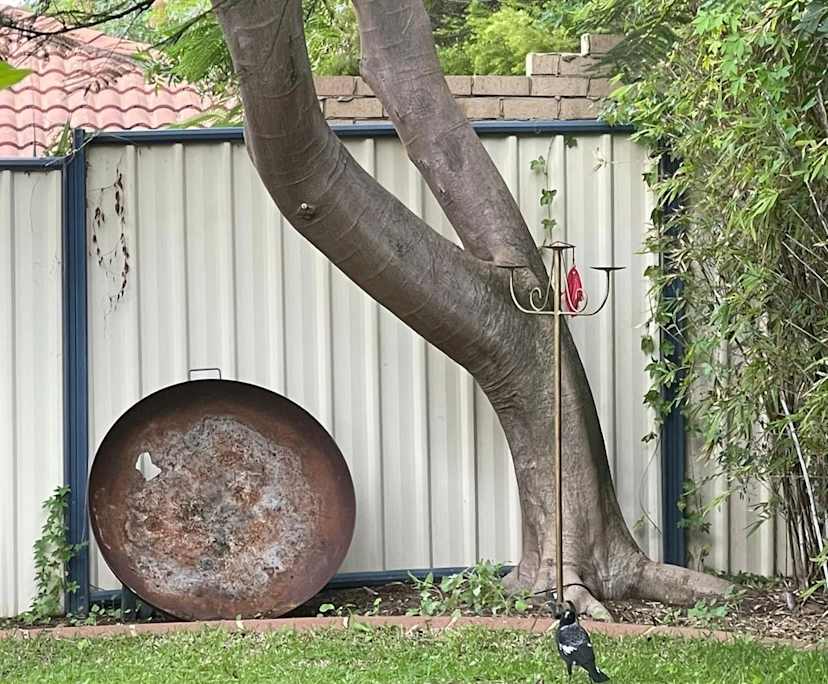 $380, Share-house, 3 bathrooms, Scarborough WA 6019