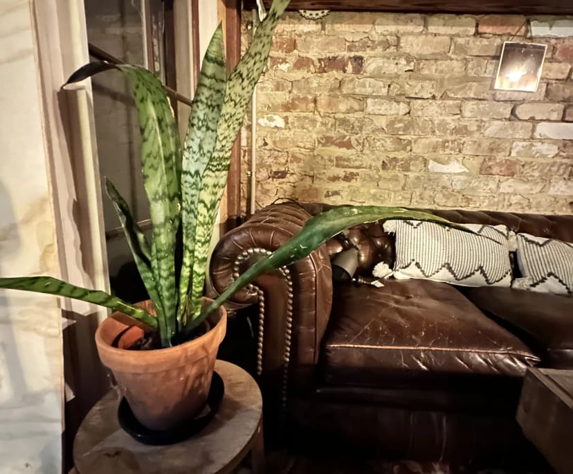 $555, Share-house, 5 bathrooms, Redfern NSW 2016