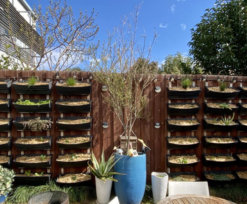 $325, Share-house, 3 bathrooms, Caulfield North VIC 3161