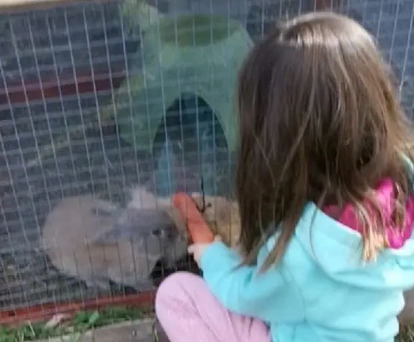 $225-285, Share-house, 2 rooms, Footscray VIC 3011, Footscray VIC 3011