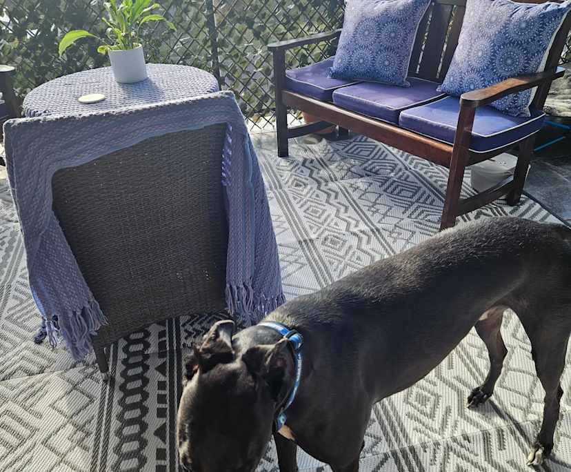 $300, Share-house, 4 bathrooms, Flinders NSW 2529