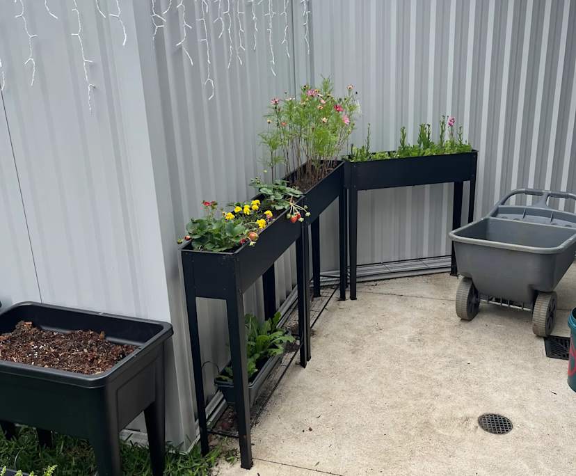 $200, Share-house, 3 bathrooms, Bell Post Hill VIC 3215