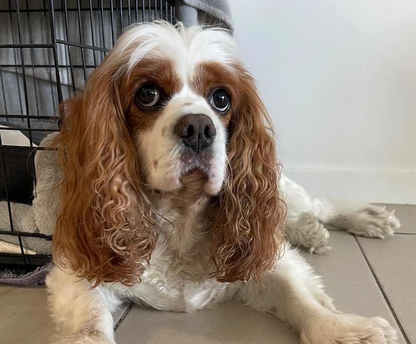 $400, Flatshare, 2 bathrooms, Morningside QLD 4170