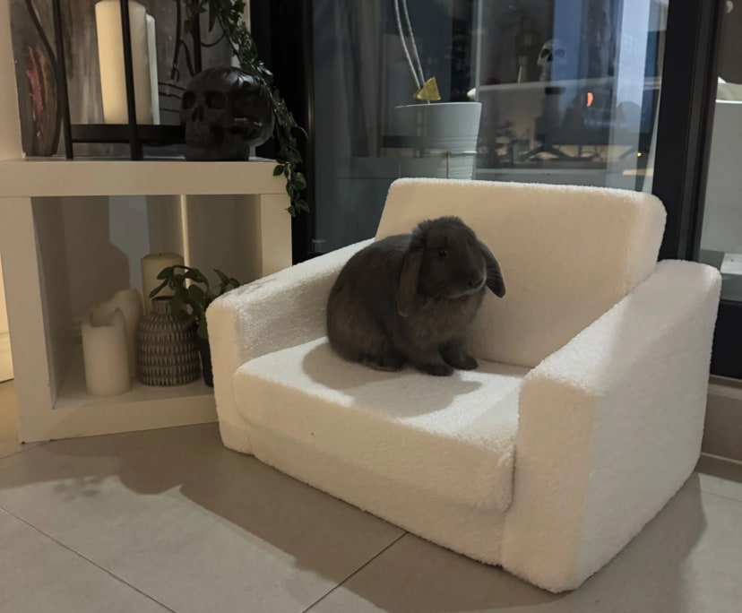Unfurnished room with own bathroom
