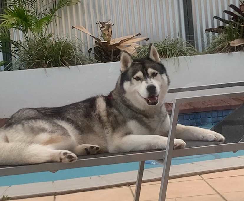 $650, Share-house, 4 bathrooms, Mooloolaba QLD 4557