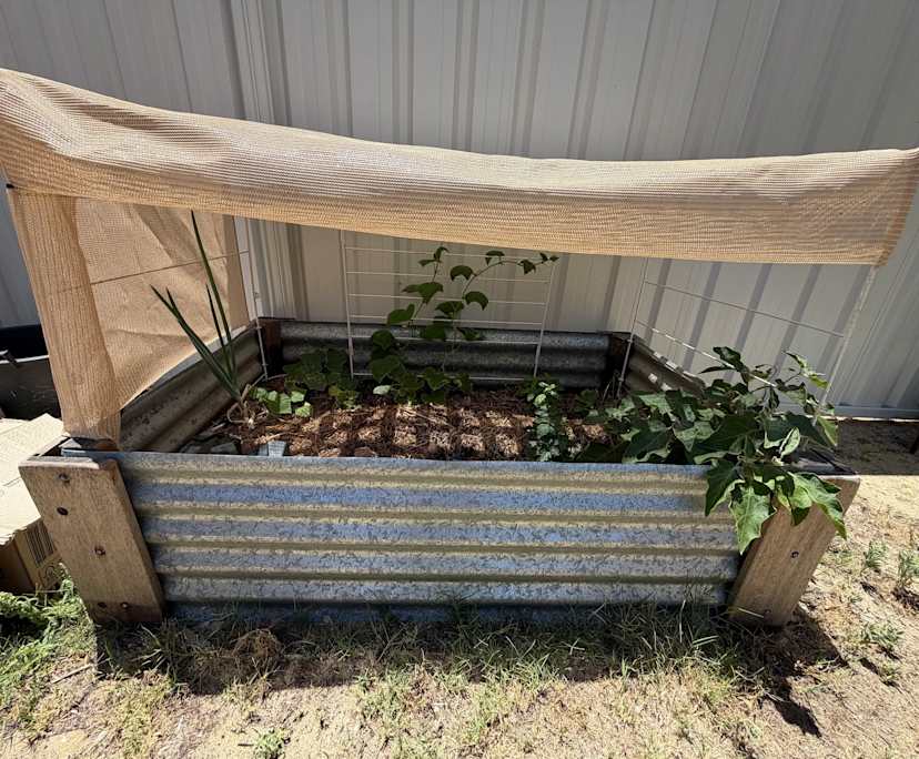 $300, Share-house, 3 bathrooms, Beaconsfield WA 6162