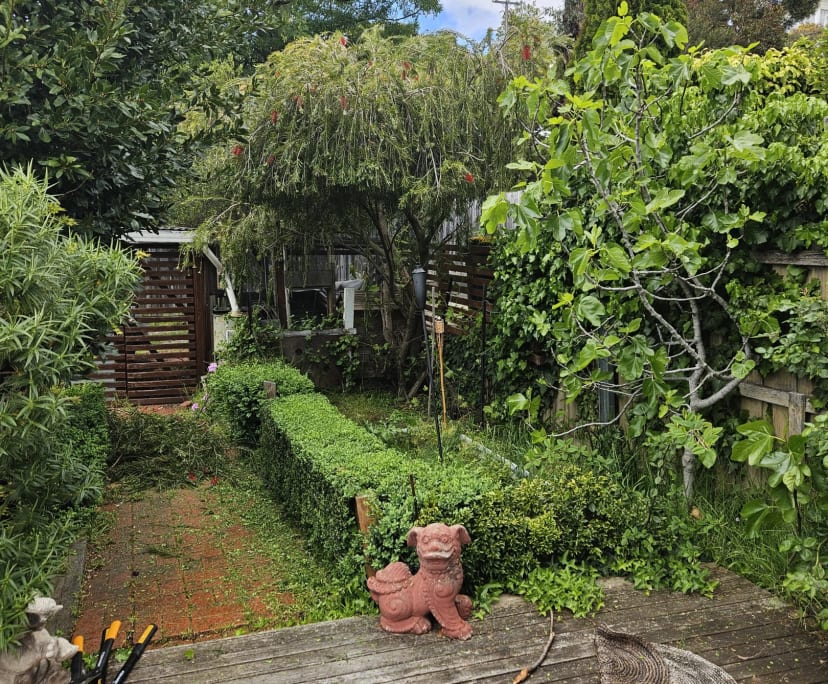 Unfurnished room in a share house