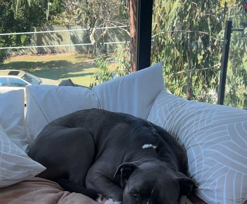 $350, Flatshare, 2 bathrooms, Norman Park QLD 4170