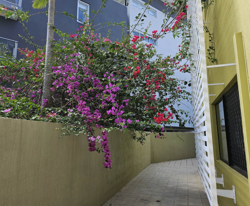 $385, Flatshare, 2 bathrooms, South Brisbane QLD 4101